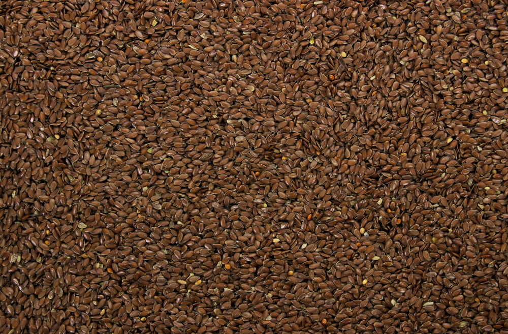 Lijnzaad 1 kg