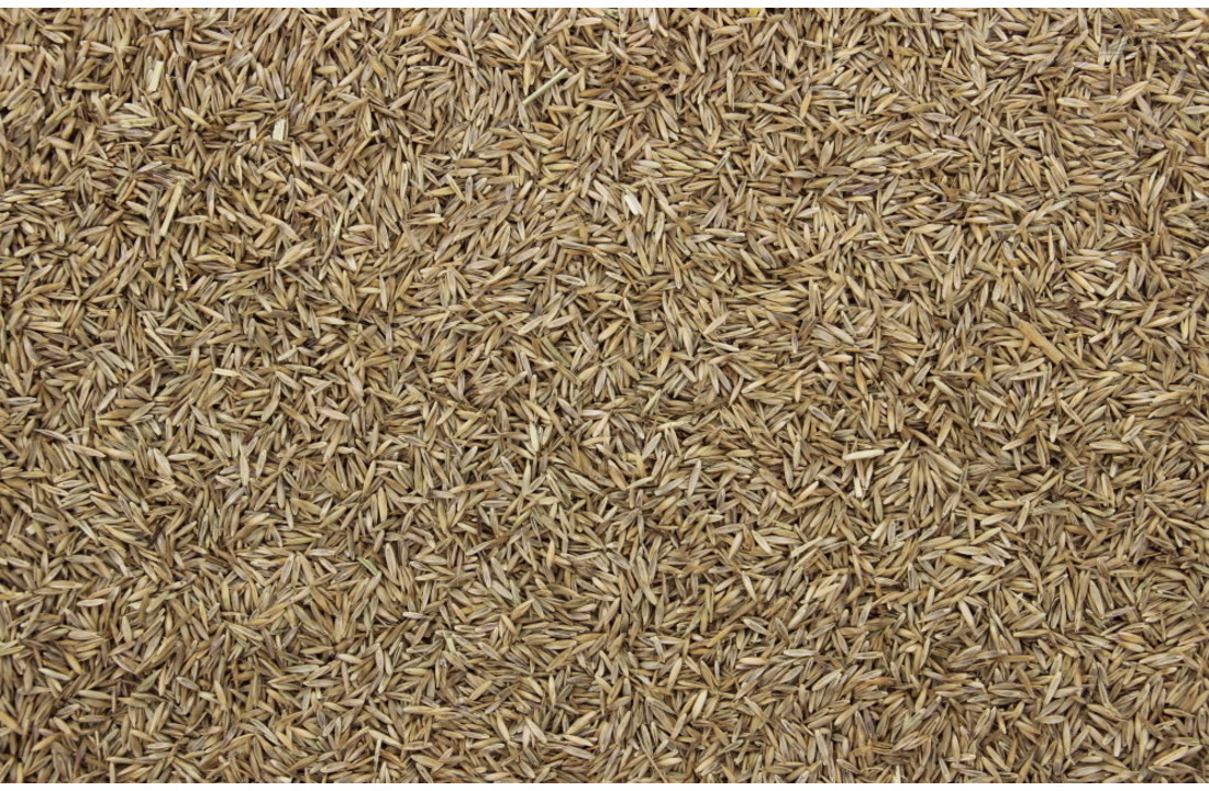 Graszaad