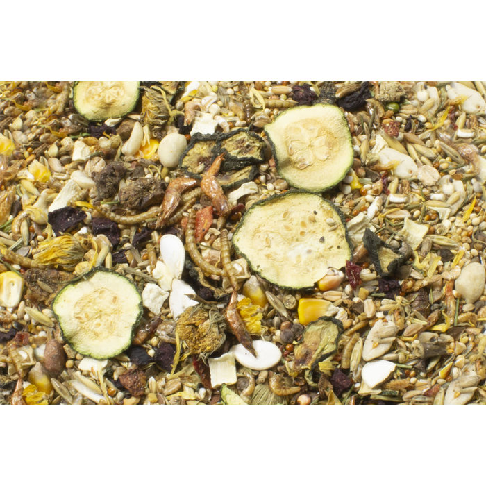 JR FARM Farm Food Dwerghamstervoer 500 gram