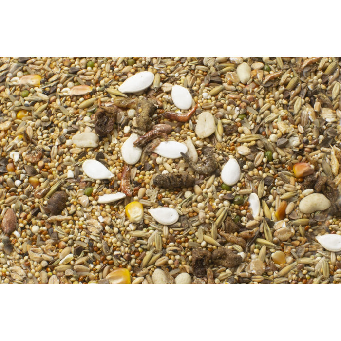 JR FARM Dwerghamster Schmaus 600 gram