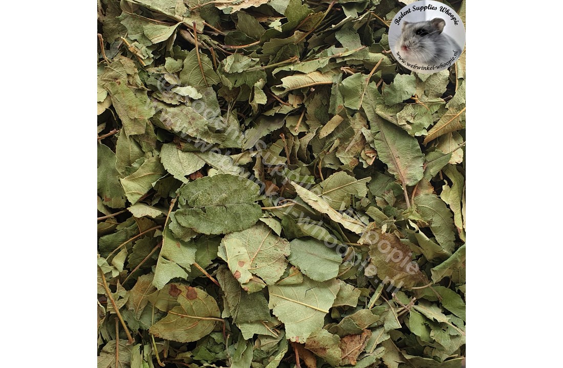 Appelboomblad