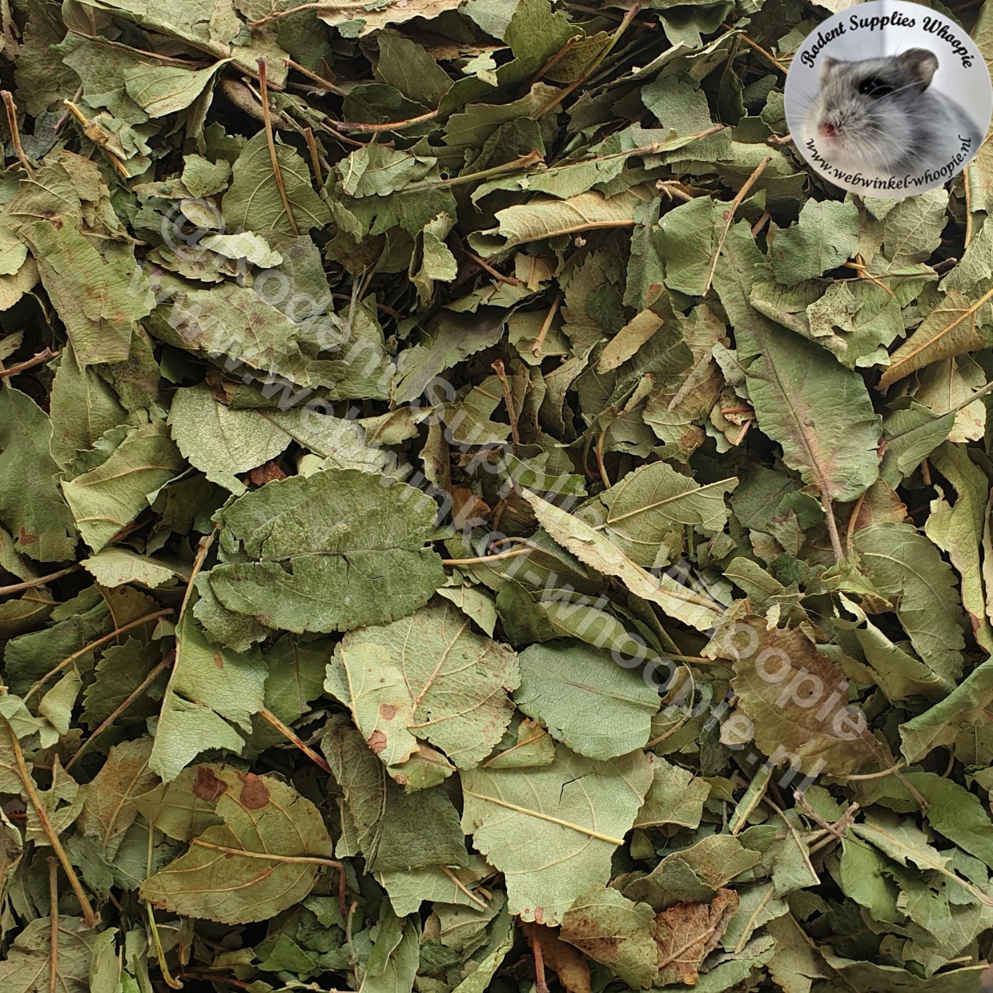 Whoopie Appelboomblad