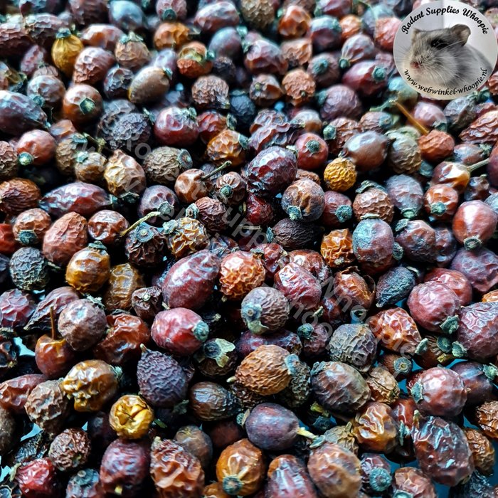 Whoopie Rozenbottels