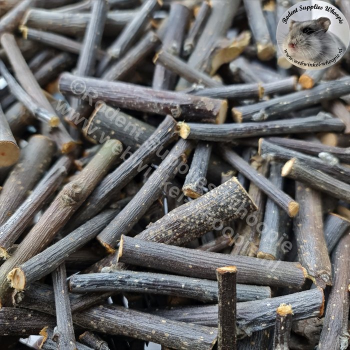 Whoopie Appelboomhout