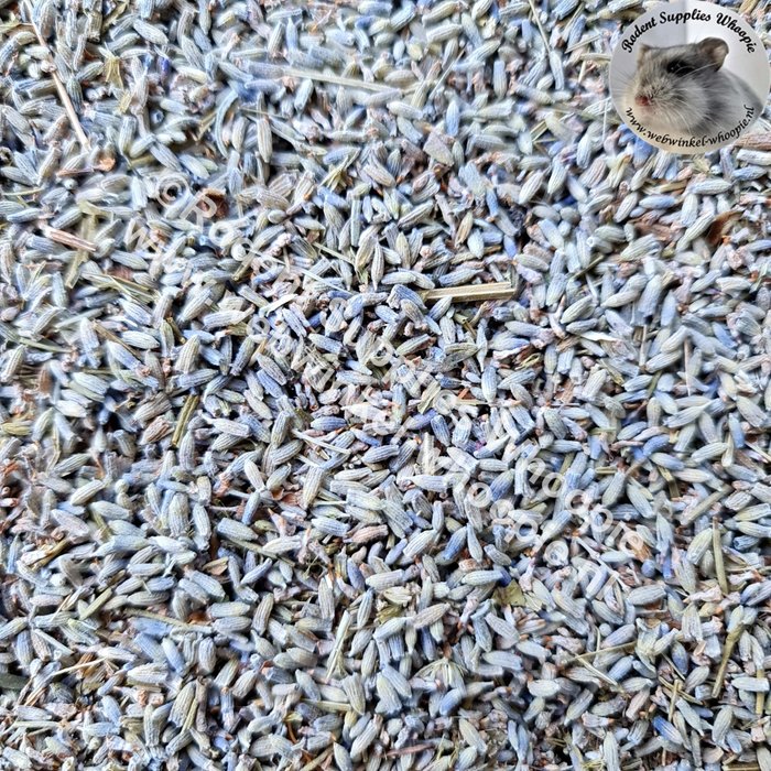 Whoopie Lavendel