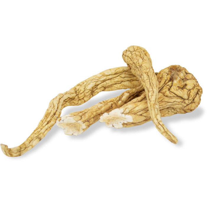 JR FARM Pastinaak wortels 50 gram