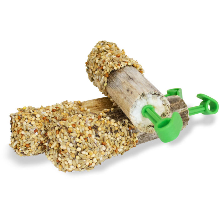 JR FARM Zaden zonnebloemstelen 20 gram (THT 10-25)