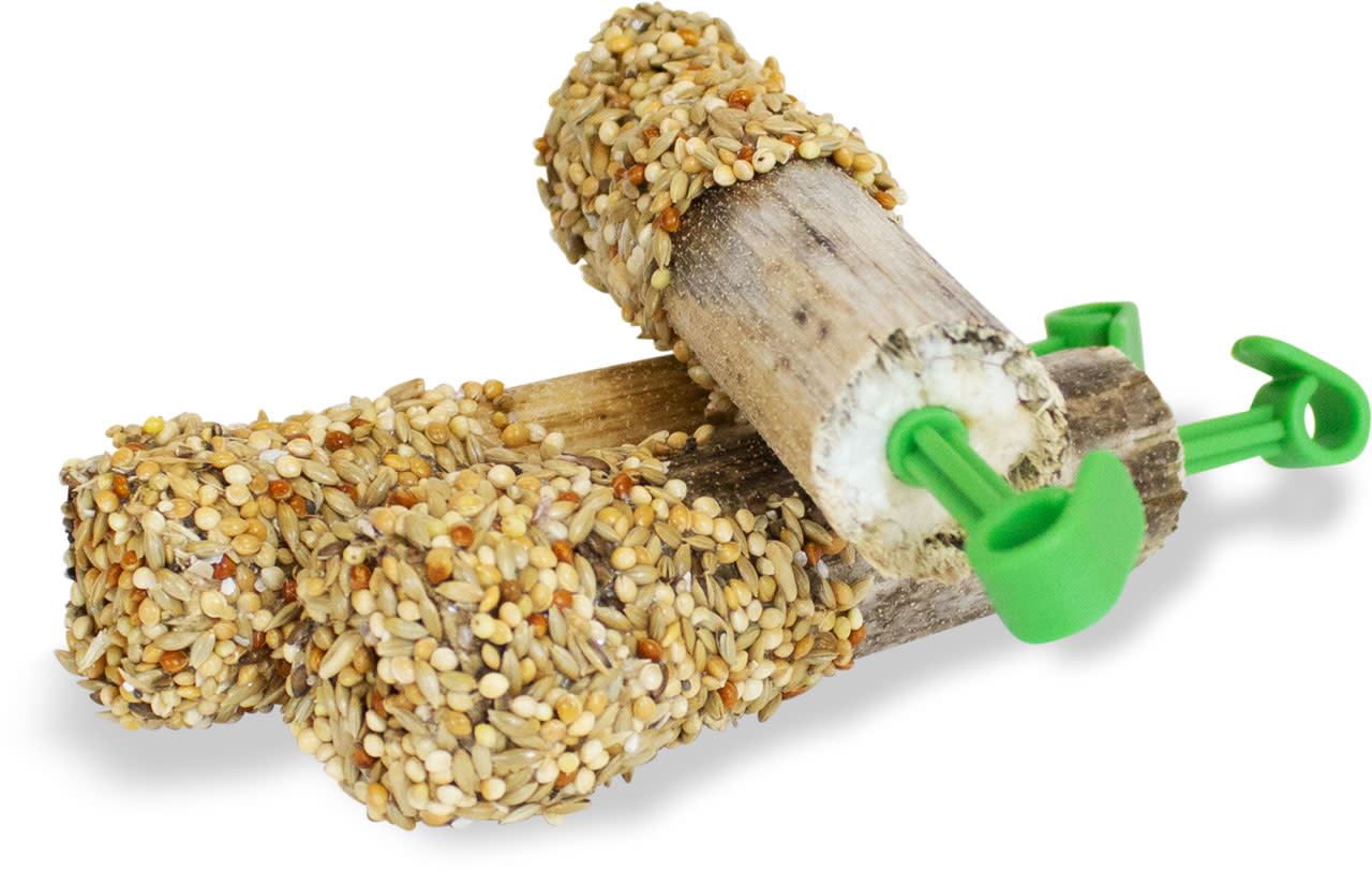 JR FARM Zaden zonnebloemstelen 20 gram (THT 10-25)