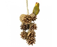 Back Zoo Nature Pine Cone Garland