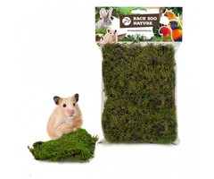 Back Zoo Nature Forest Moss 70 gram