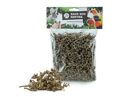 Back Zoo Nature Crinkle Paper Natural