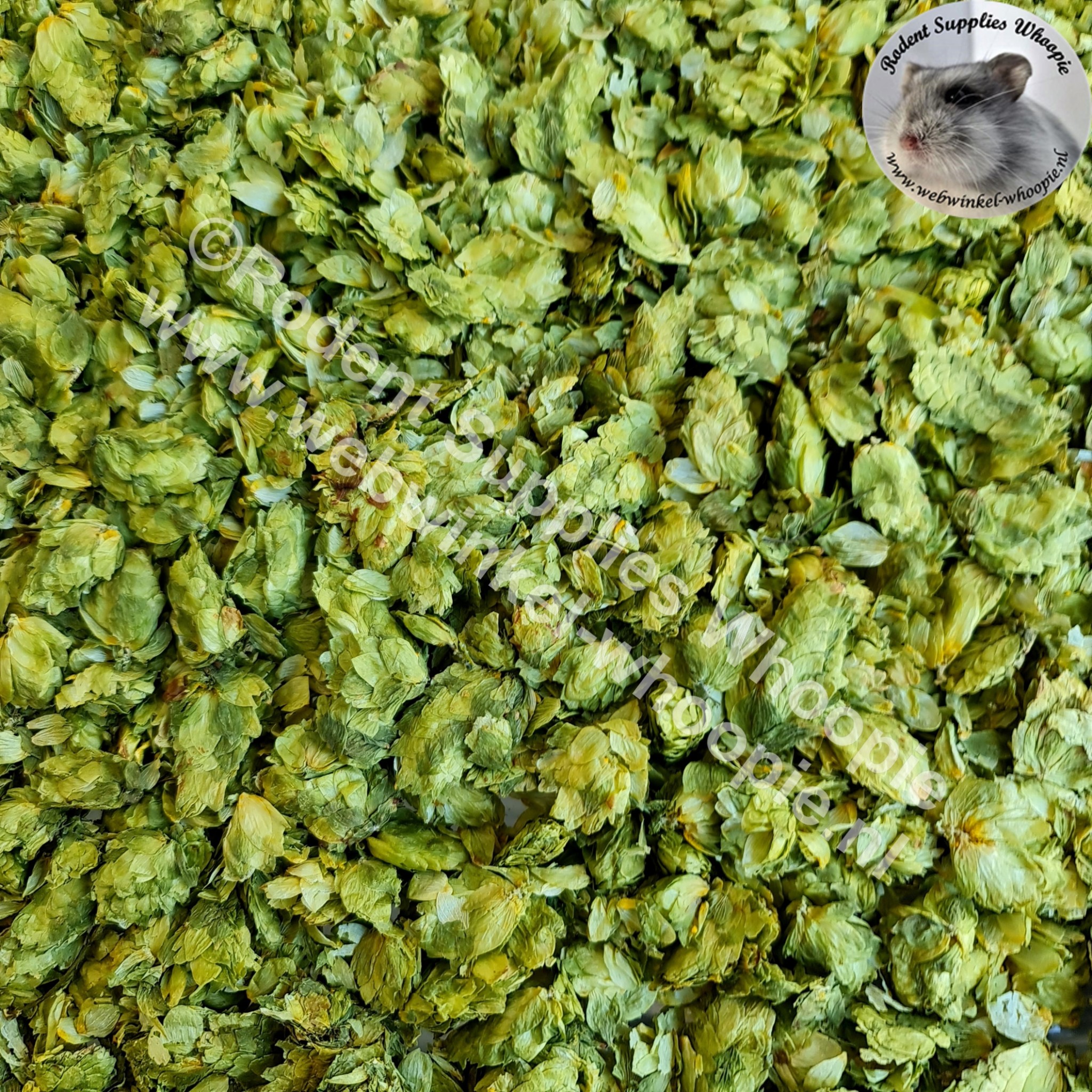 Hopbloemen