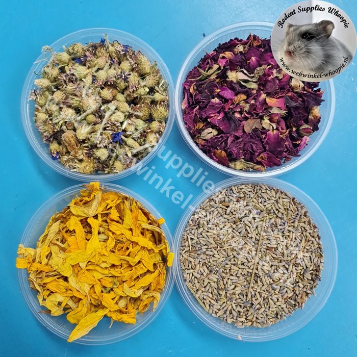 Whoopie Proefpakket bloemen #2