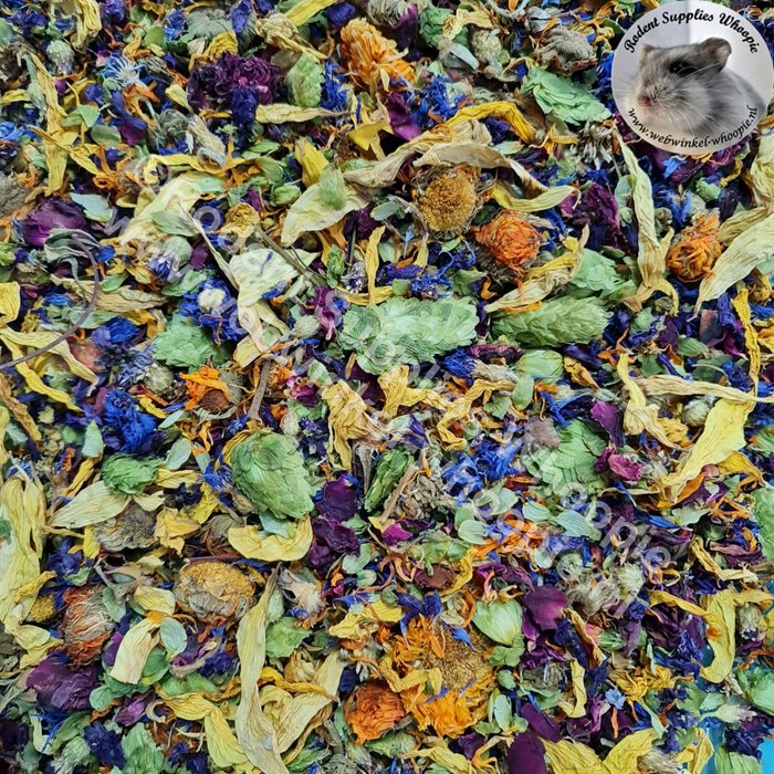 Whoopie Whoopie's Regenboog bloemenmix