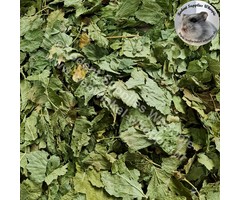 Whoopie Zwarte bessen bladeren