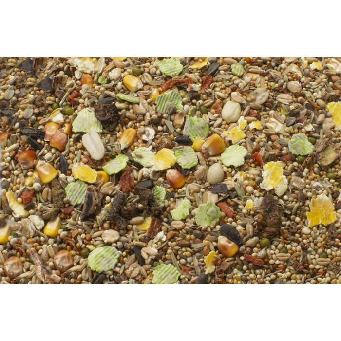 JR FARM Gerbil schmaus 600 gram