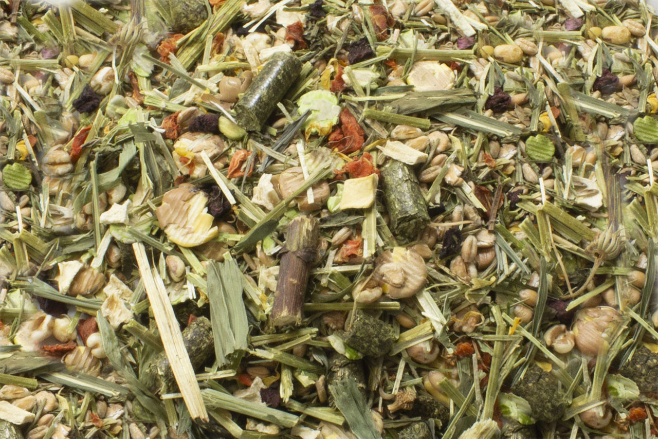 JR FARM Degoe Schmaus 800 gram (THT 04-26)