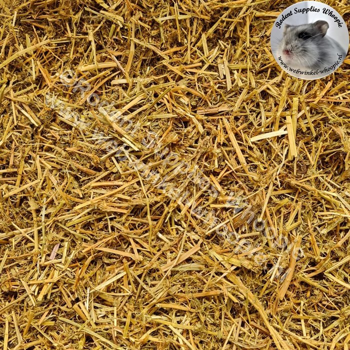 Whoopie Zongedroogde luzerne