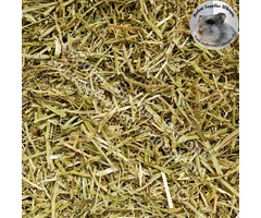 Whoopie Compacte luzerne