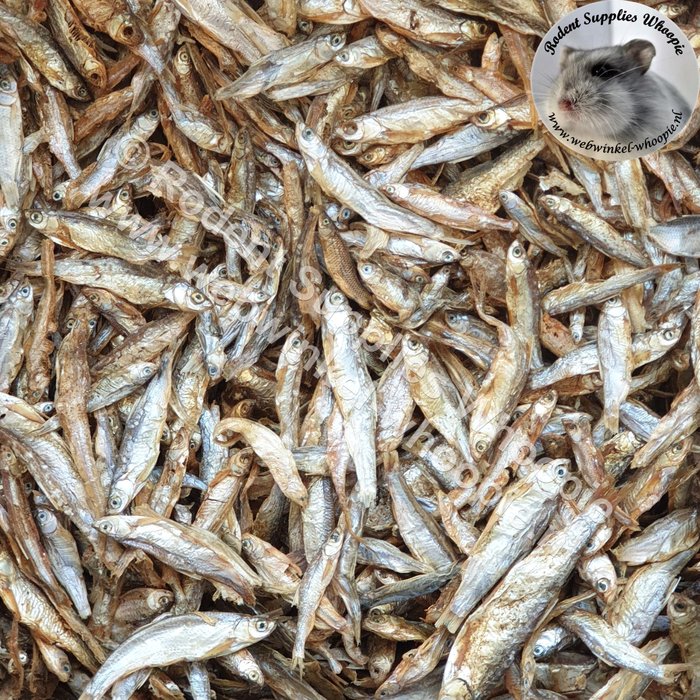 Whoopie Visjes groot