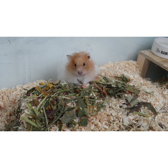 Whoopie Whoopie's Strooikruiden