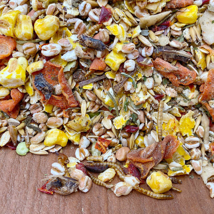 Mixerama Ratten-Päppel mix (OP=OP)