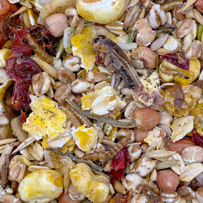 Mixerama Ratten-Päppel mix (OP=OP)