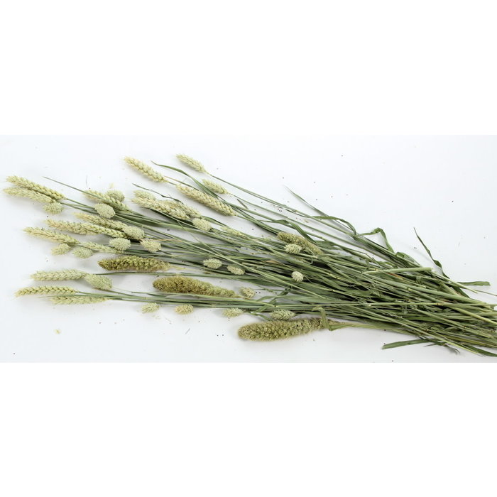 ESVE Pet Bouquet Knaagveld