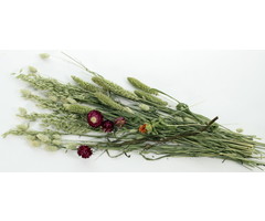 ESVE Pet Bouquet Weidegewas