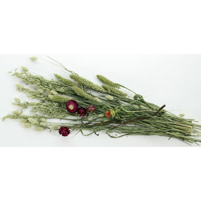 ESVE Pet Bouquet Weidegewas