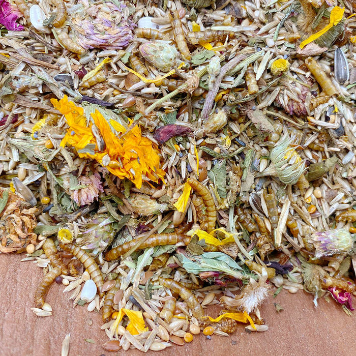 Mixerama Dwerghamster Campbelli Gourmet Menü