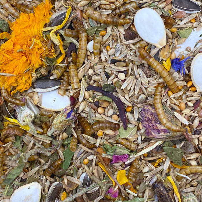 Mixerama Dwerghamster Campbelli Gourmet Menü