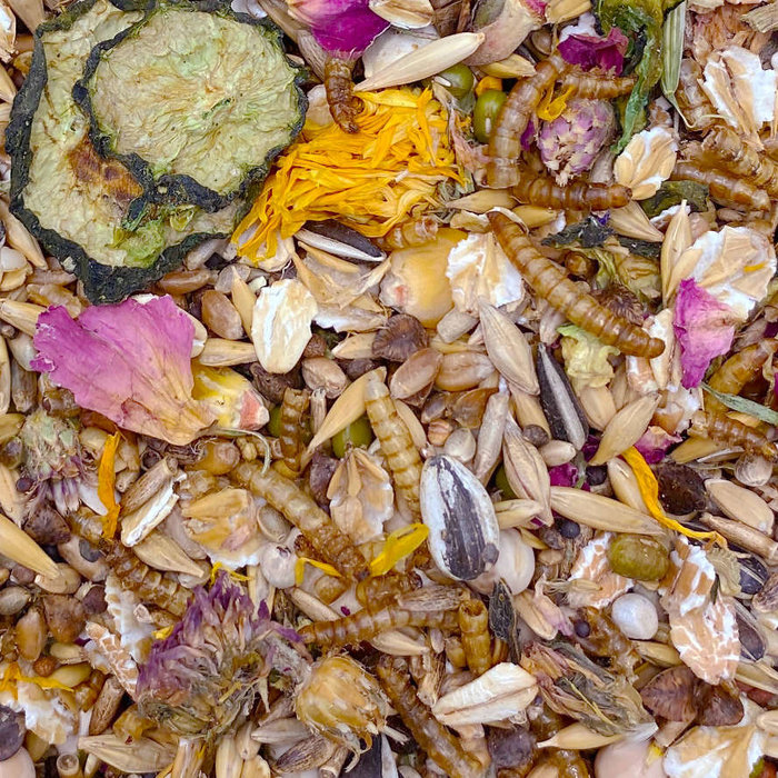 Mixerama Syrische hamster Gourmet Menü