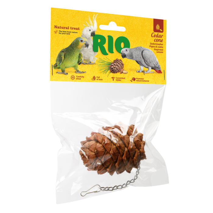 Mealberry Cedar Cone