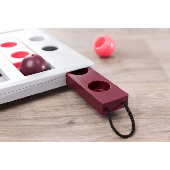 Trixie Mover Strategisch Spel