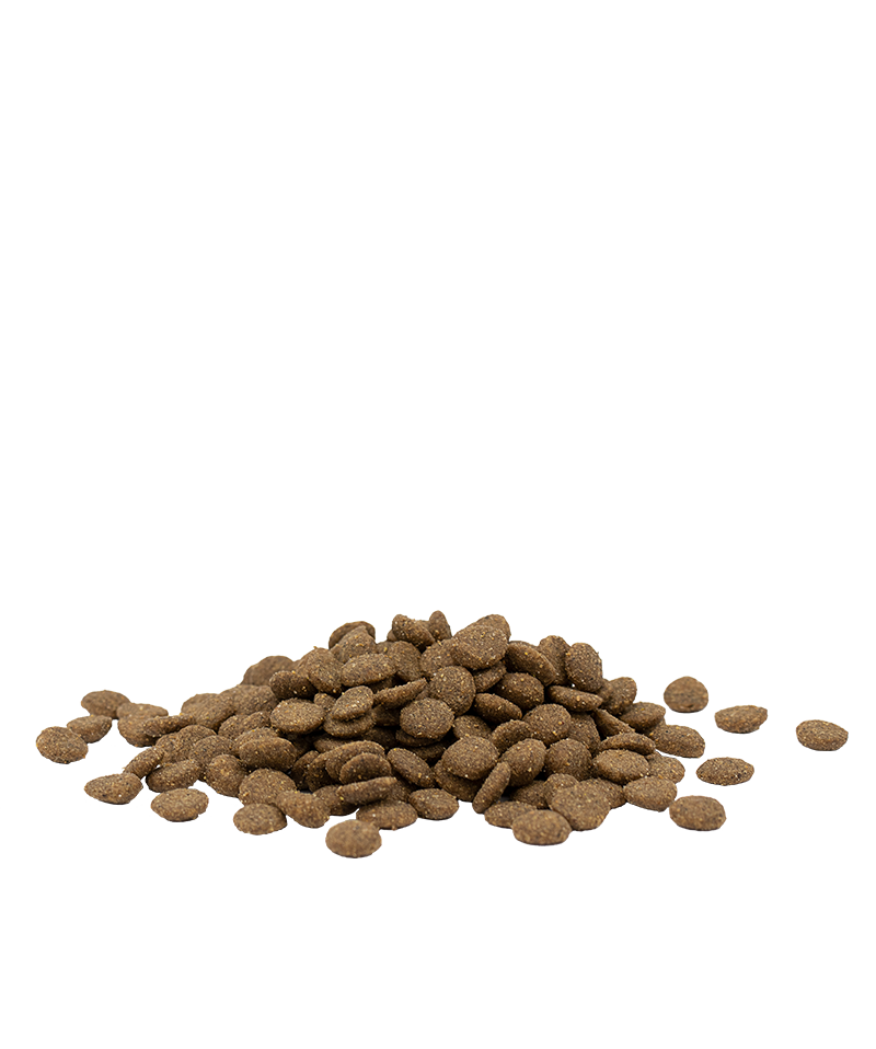 Versele Laga Opti Life Kat Adult Urinary