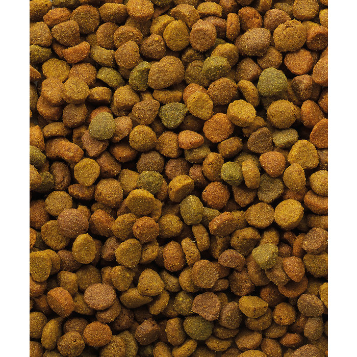 Versele Laga Classic Variety kat 4-mix