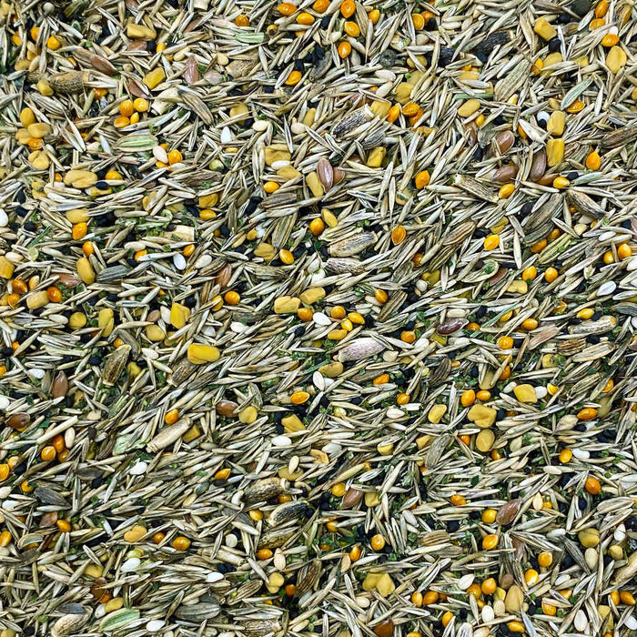 Mixerama Kräuterchen