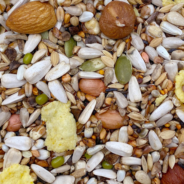 Mixerama Grote Papegaaien Noten Traktatie