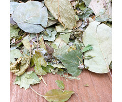 Mixerama Bladerenveldmix