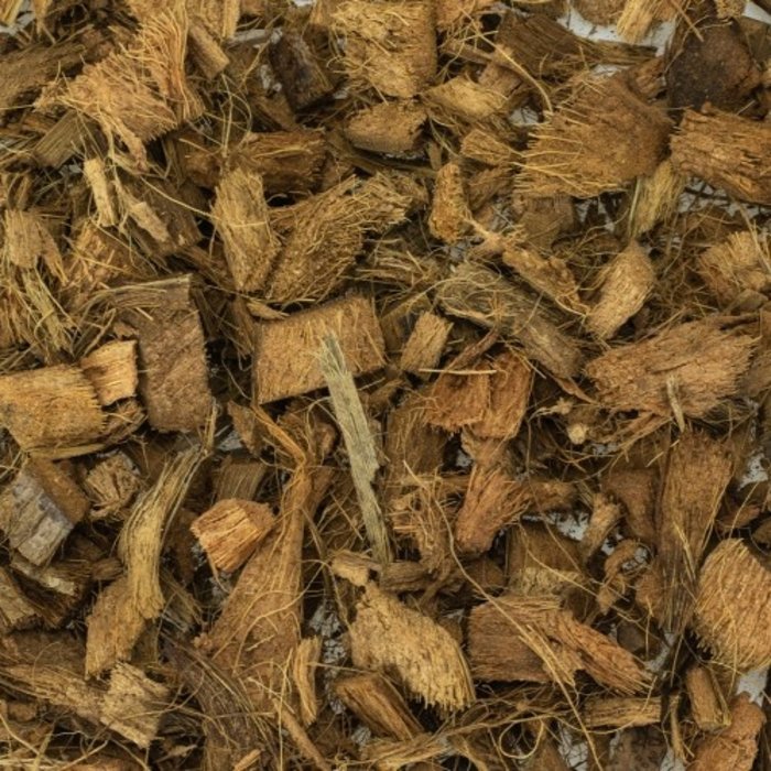 Back Zoo Nature Discovery Bedding