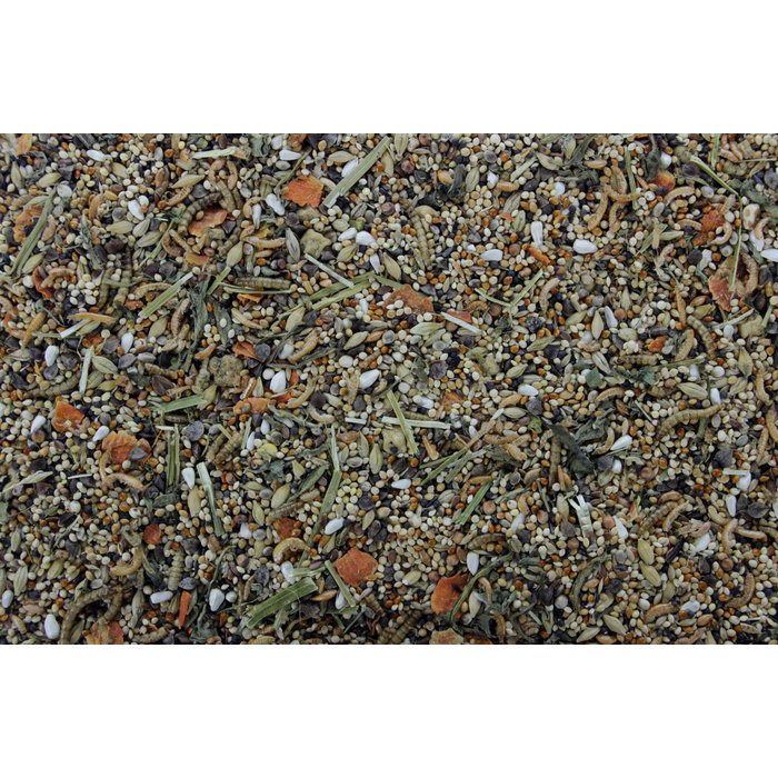 ESVE Habitat Russische Dwerghamster