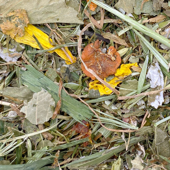 Mixerama Schmackofatz