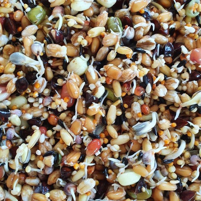 Mixerama Kiem & Bronvoer