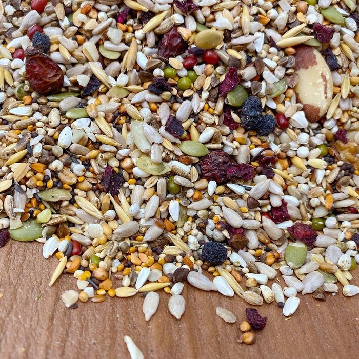 Mixerama Grijze Roodstaartpapegaaien Energie Plus