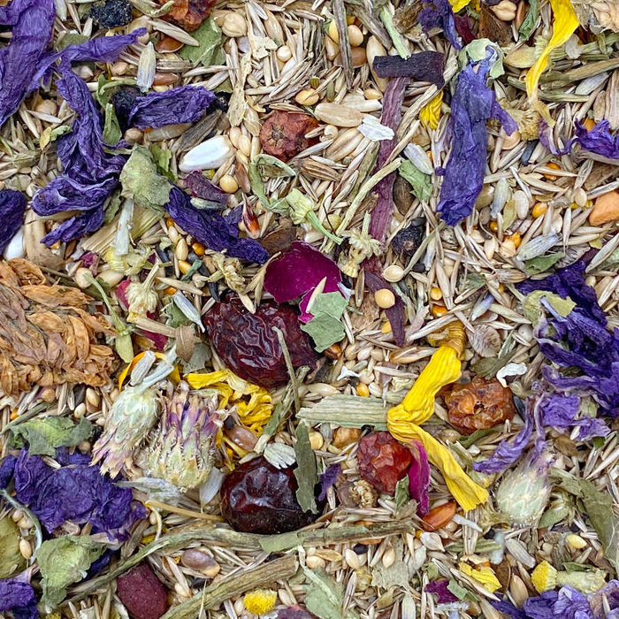 Mixerama Valkparkieten Bessen & Bloemen (OP=OP)