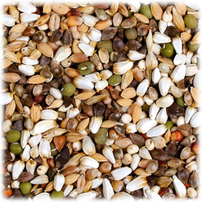 JR FARM Kiemvoer Papegaaien