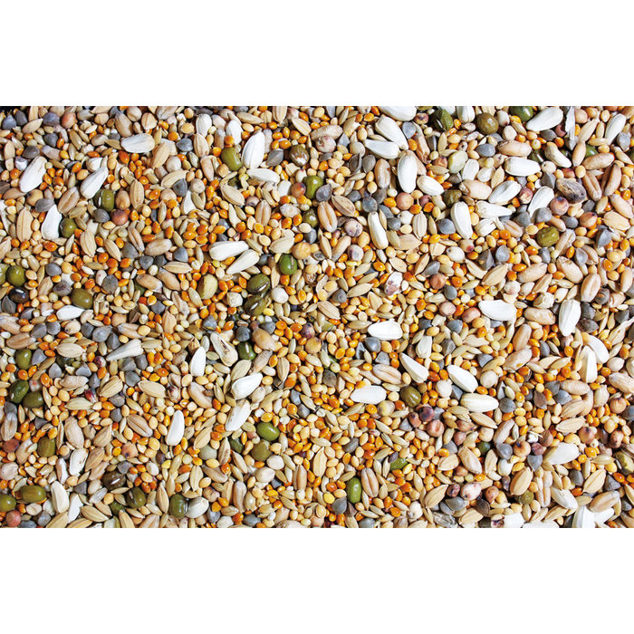 JR FARM Kiemvoer Grote parkieten