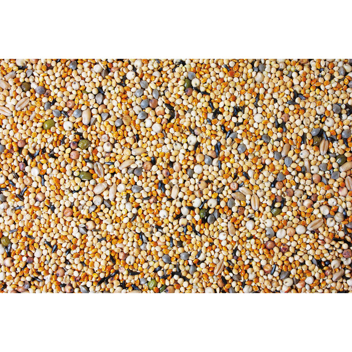 JR FARM Kiemvoer Parkieten