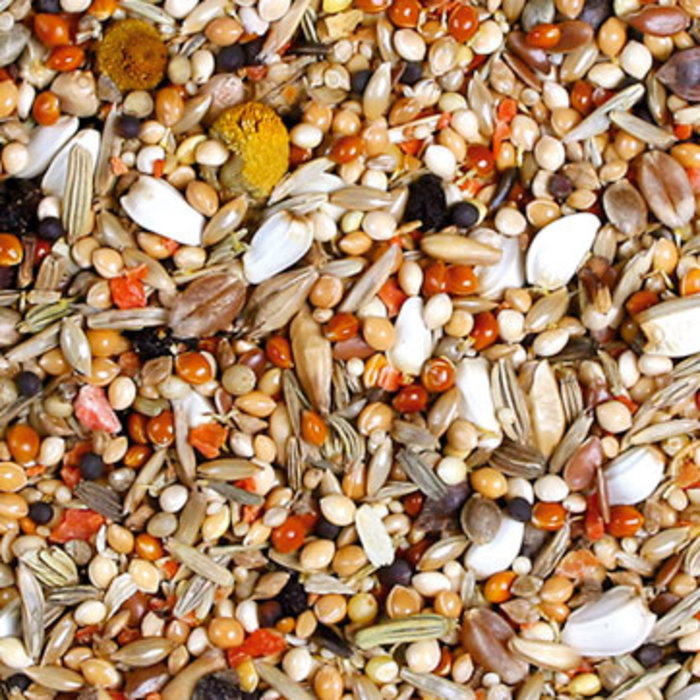 JR FARM Individual Dwergpapegaaien